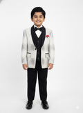 Young boy in a formal suit with a white background