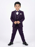 Young boy in a purple suit with a white shirt and bow tie on a white background